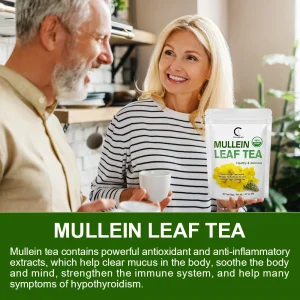 Herbal Mullein Leaf Drink for Lung Cleansing