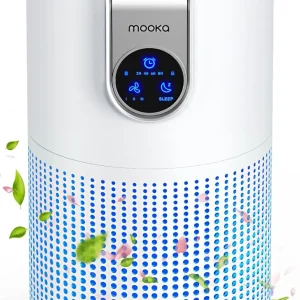 Air Purifiers for Home Large Room with Aromatherapy